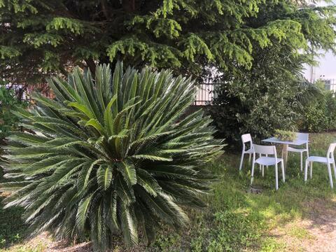Dimora Scaldaferro Villa Mira Buitenkant foto