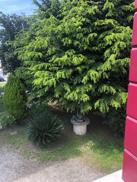Dimora Scaldaferro Villa Mira Buitenkant foto
