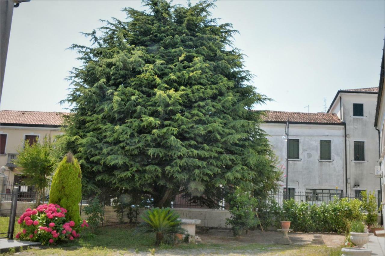 Dimora Scaldaferro Villa Mira Buitenkant foto